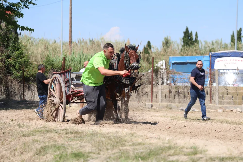 XXXIII Concurs de Tir i Arrossegament de la Penya Carreters