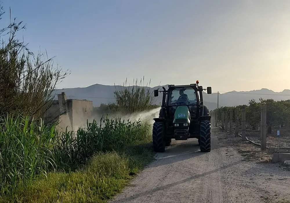 Pla de xoc intensiu per a frenar el mosquit tigre