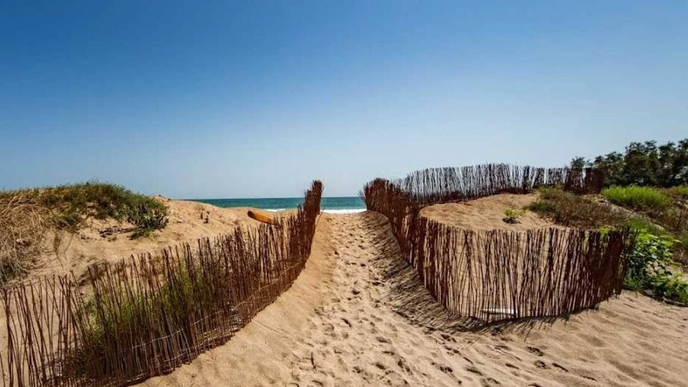 La protecció dels espais naturals i la conscienciació ciutadana marquen el Dia Mundial del Medi Ambient