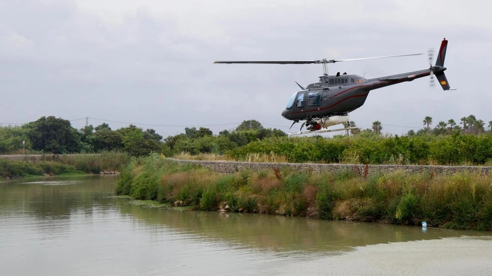 L'augment de la mosca negra obliga a avançar un mes la fumigació aèria al riu Xúquer