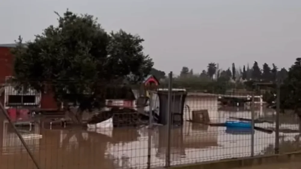 Los servicios sociales reciben la Cruz de Oro de la Solidaridad por la atención durante la DANA