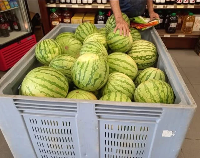 Cullercoop obri la venda directa de meló autòcton per donar oxigen al camp local