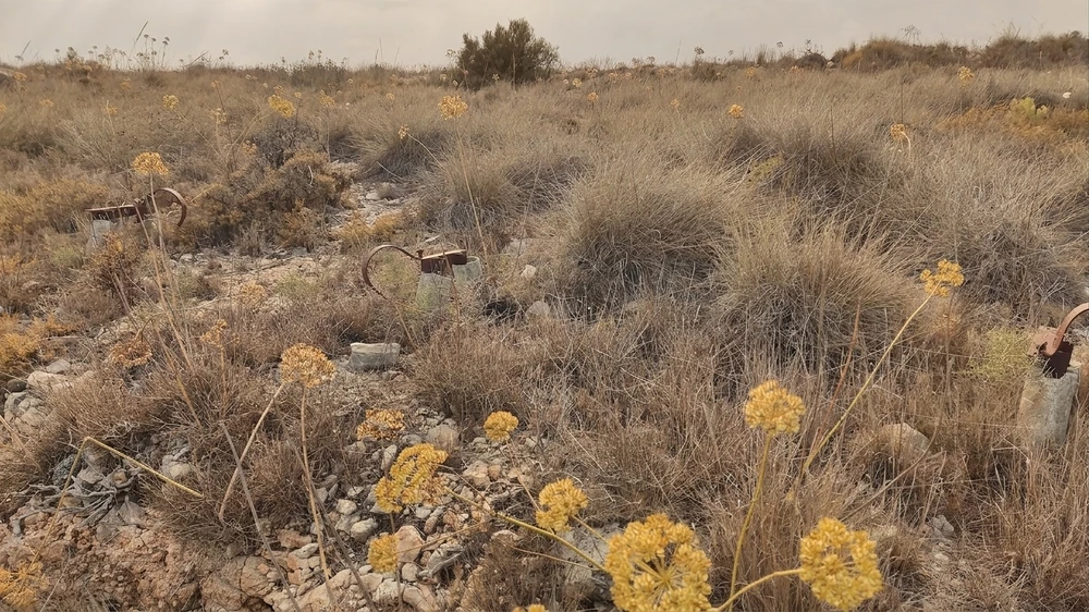 La extrema sequedad de la montaña eleva el riesgo de incendio y frustra las últimas reforestaciones