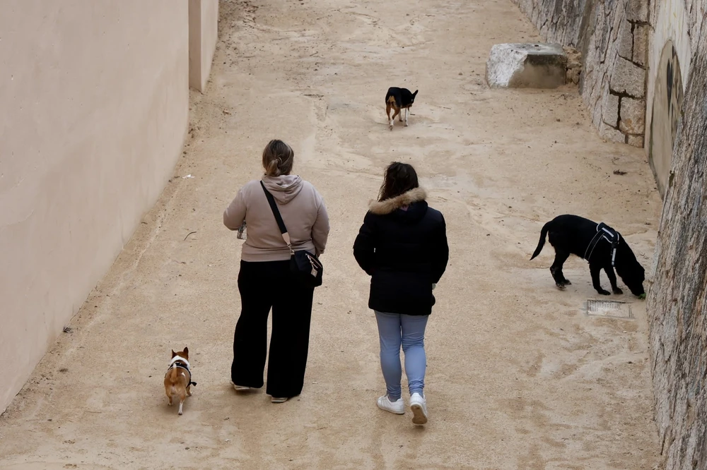 La nova ordenança animal exigirà un cens per ADN per a frenar l'abandonament d'excrements canins