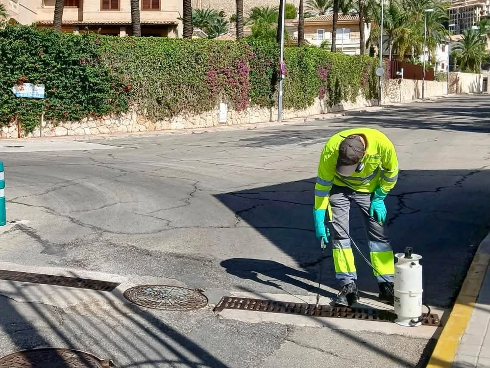 Ofensiva urbana para frenar la proliferación de mosquitos y larvas tras las lluvias